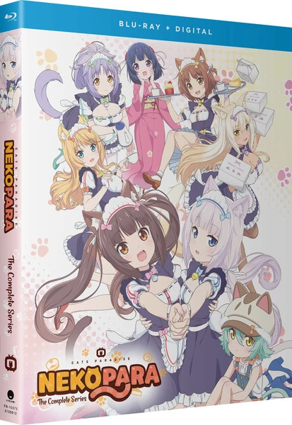 FUNIMATION/CRUNCHYROLL Nekopara Blu-ray