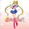 Viz Sailor Moon R Set 1 Limited Edition Blu-ray/DVD