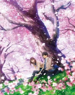ANIPLEX OF AMERICA I Want To Eat Your Pancreas Blu-ray