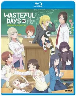 SENTAI FILMWORKS Wasteful Days Of High School Girls Blu-ray