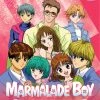 DISCOTEK Marmalade Boy Complete Collection Blu-Ray